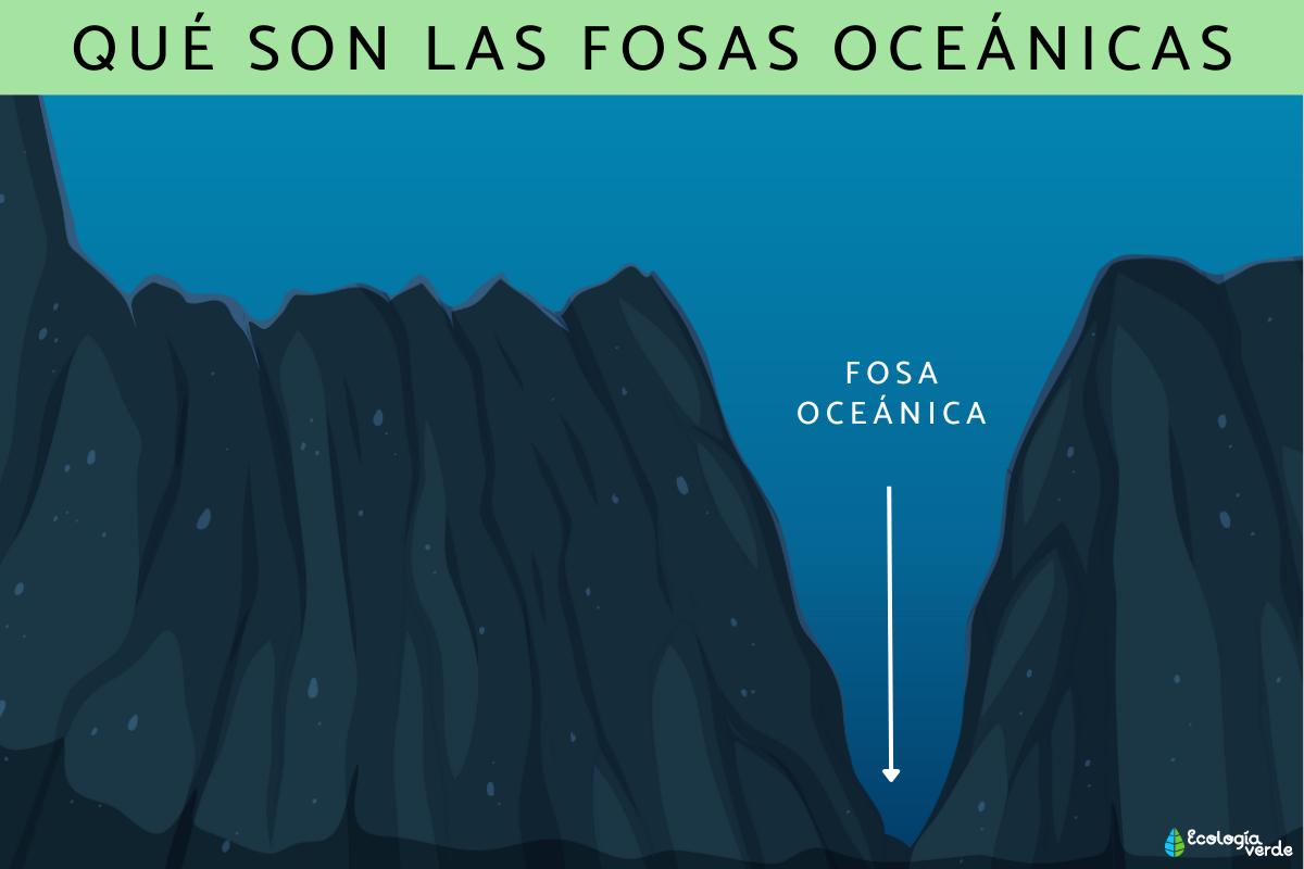 Fosas oceánicas: qué son, cómo se forman, ejemplos y cuál es la más profunda