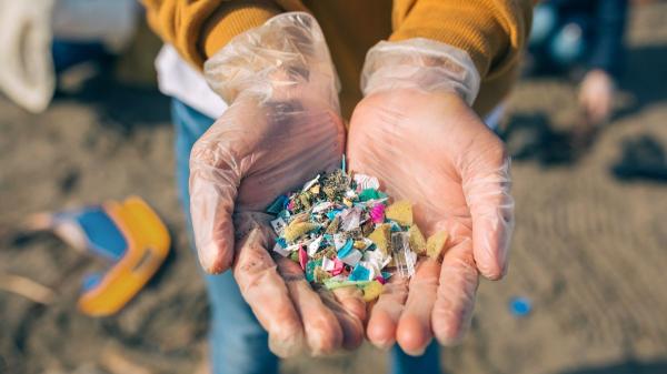 Los científicos coinciden: el impacto de los microplásticos afecta a animales, plantas y personas - Qué efectos pueden tener los microplásticos en la salud humana