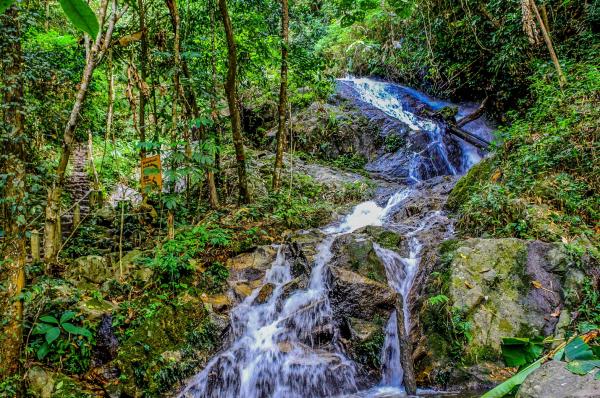 Qué son los afluentes y sus características - Diferencia entre ríos, afluentes y efluentes