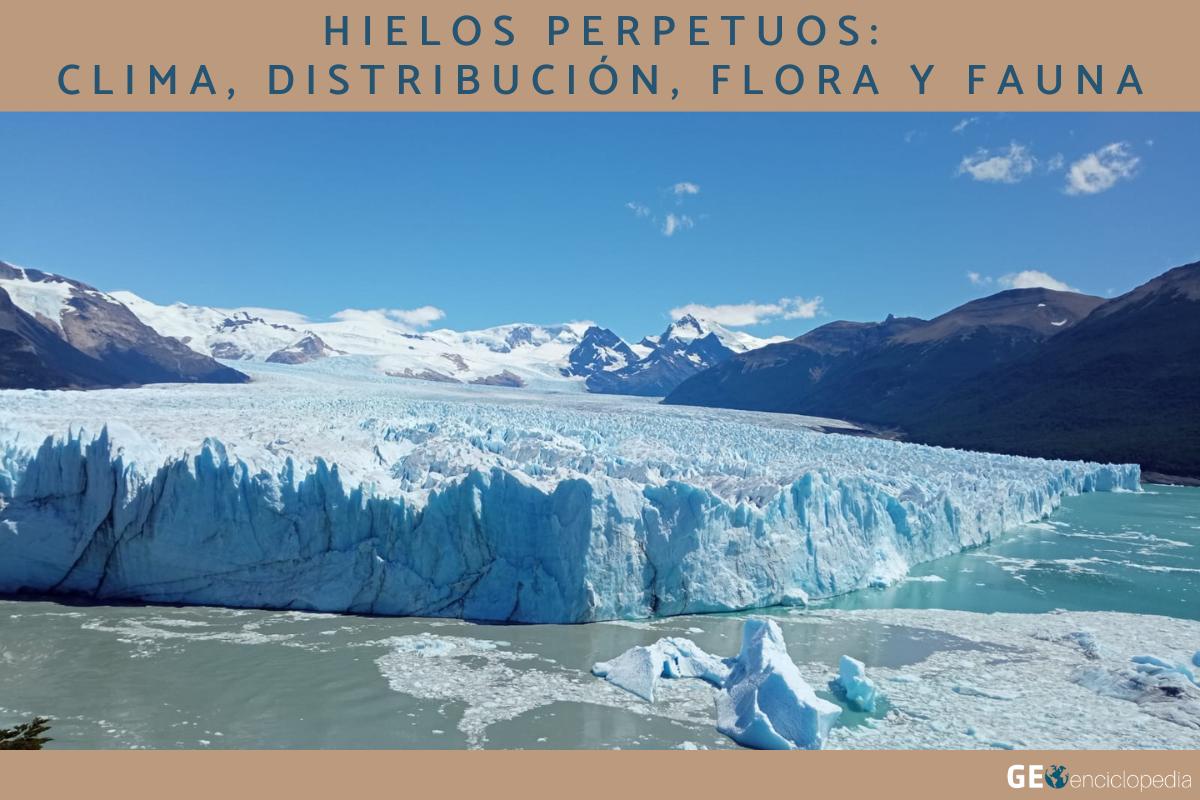 Hielos perpetuos: clima, distribución, flora y fauna