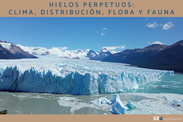 Hielos perpetuos: clima, distribución, flora y fauna
