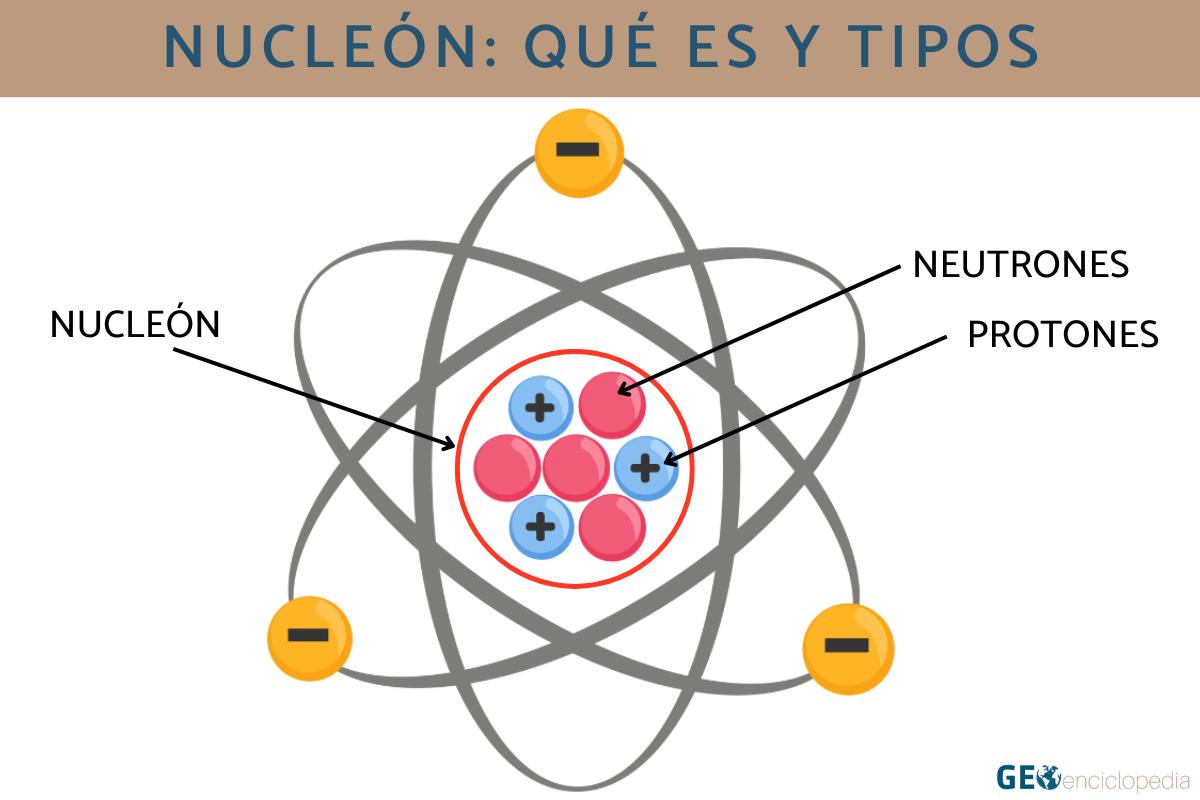 Nucleón: qué es y tipos