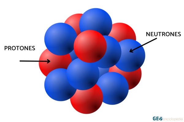 Nucleón: qué es y tipos - Tipos de nucleones