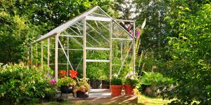 Plantas de invernadero: conoce qué cultivos y ornamentales puedes plantar