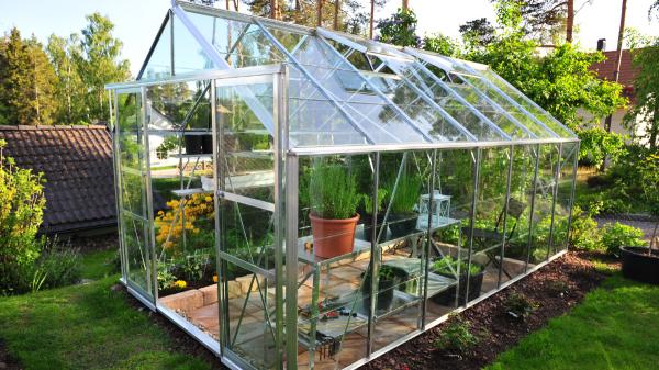 Plantas de invernadero: conoce qué cultivos y ornamentales puedes plantar - Tipos de invernadero y su influencia en las plantas