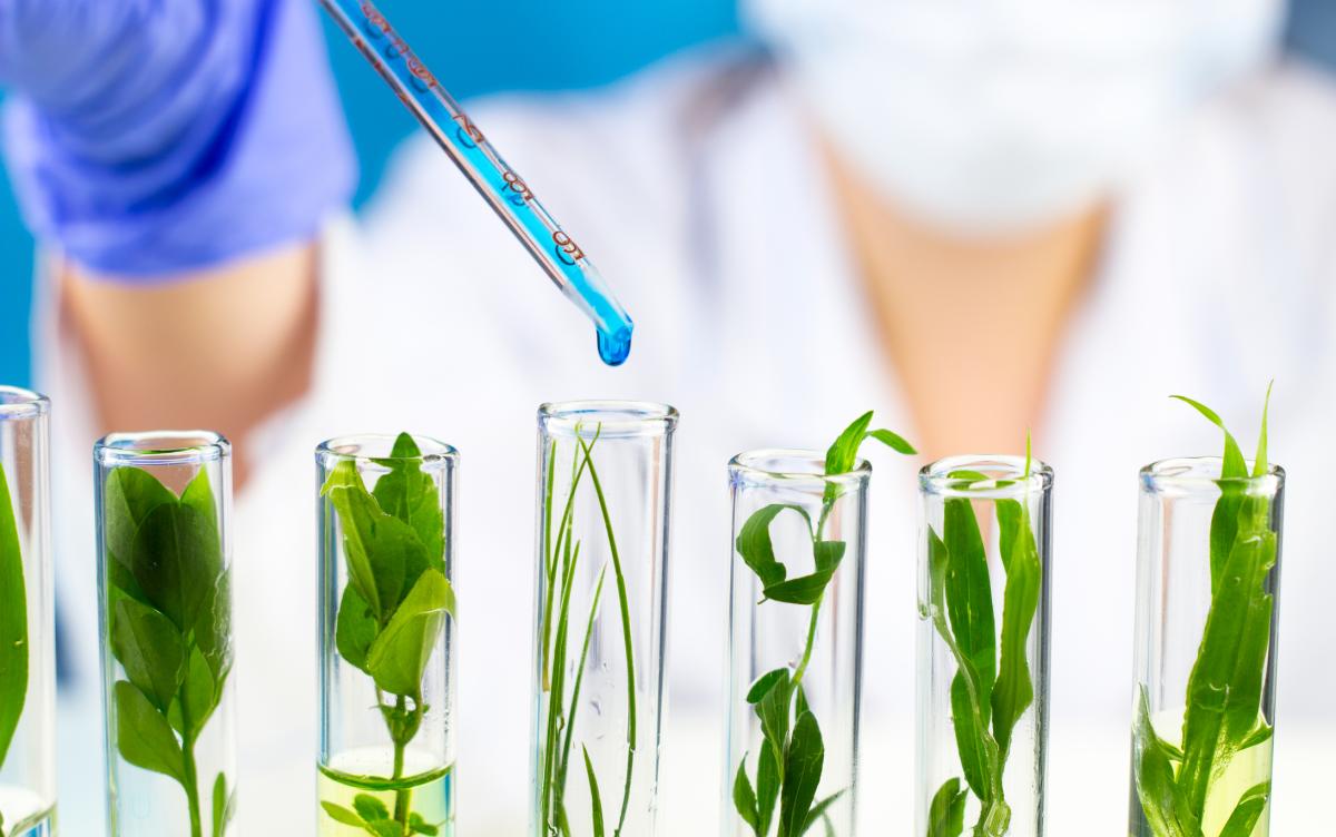 Biotecnología: qué es, para qué sirve y ejemplos
