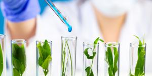 Biotecnología: qué es, para qué sirve y ejemplos