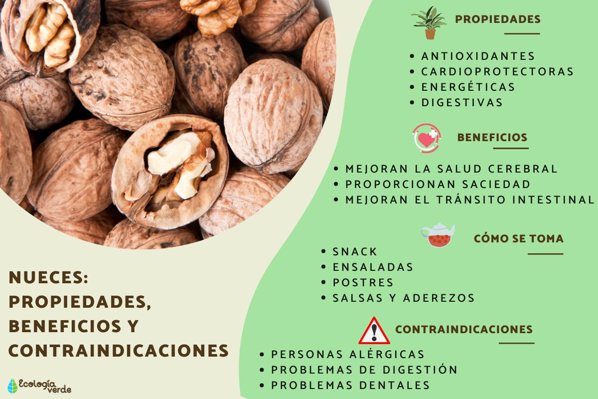 Nueces: propiedades, beneficios y contraindicaciones