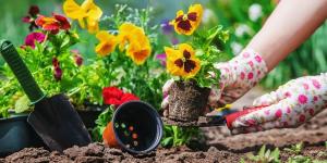 Renueva tu jardín esta primavera: 10 consejos fáciles para hacerlo florecer y llenarlo de vida