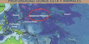 Fosa de las Marianas: profundidad, dónde está y animales