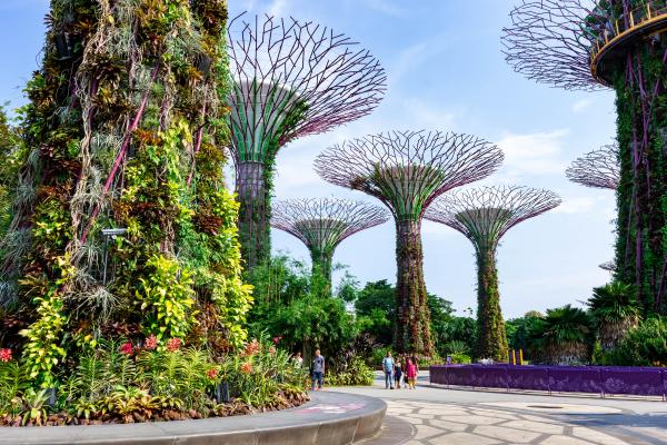 Ciudades sostenibles: qué son, características y ejemplos - Singapur