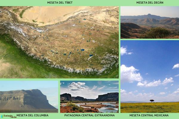 Meseta: qué es, cómo se forma y ejemplos - Ejemplos de mesetas