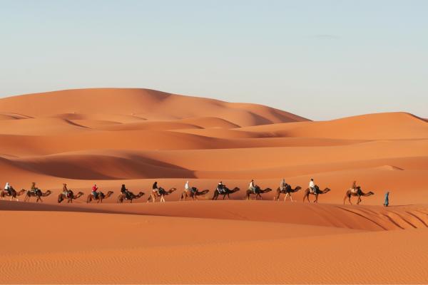 Desierto del Sahara: dónde está, países, temperatura, animales e inundaciones - ¿Cómo son el clima y la temperatura del desierto del Sahara?
