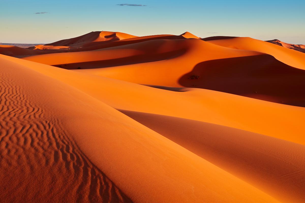 Desierto del Sahara: dónde está, países, temperatura, animales e inundaciones