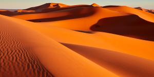 Desierto del Sahara: dónde está, países, temperatura, animales e inundaciones