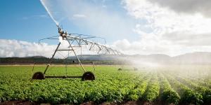 Aguas residuales en la agricultura: la frontera invisible que puede comprometer la seguridad alimentaria