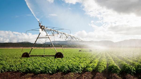 Aguas residuales en la agricultura: la frontera invisible que puede comprometer la seguridad alimentaria