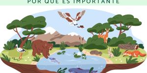Biodiversidad: qué es, tipos y por qué es importante