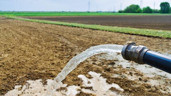 Aguas residuales en la agricultura: la frontera invisible que puede comprometer la seguridad alimentaria - Lo que no se ve al usar aguas residuales en el riego: patógenos y contaminantes