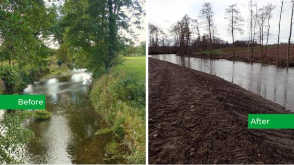 Un agricultor de 68 años arrasa 1,5 km de un río y tala 71 árboles: acaba en la cárcel por “vandalismo ecológico” - Dragó y modificó 1,5 kilómetros del río sin autorización y arrancó 71 árboles