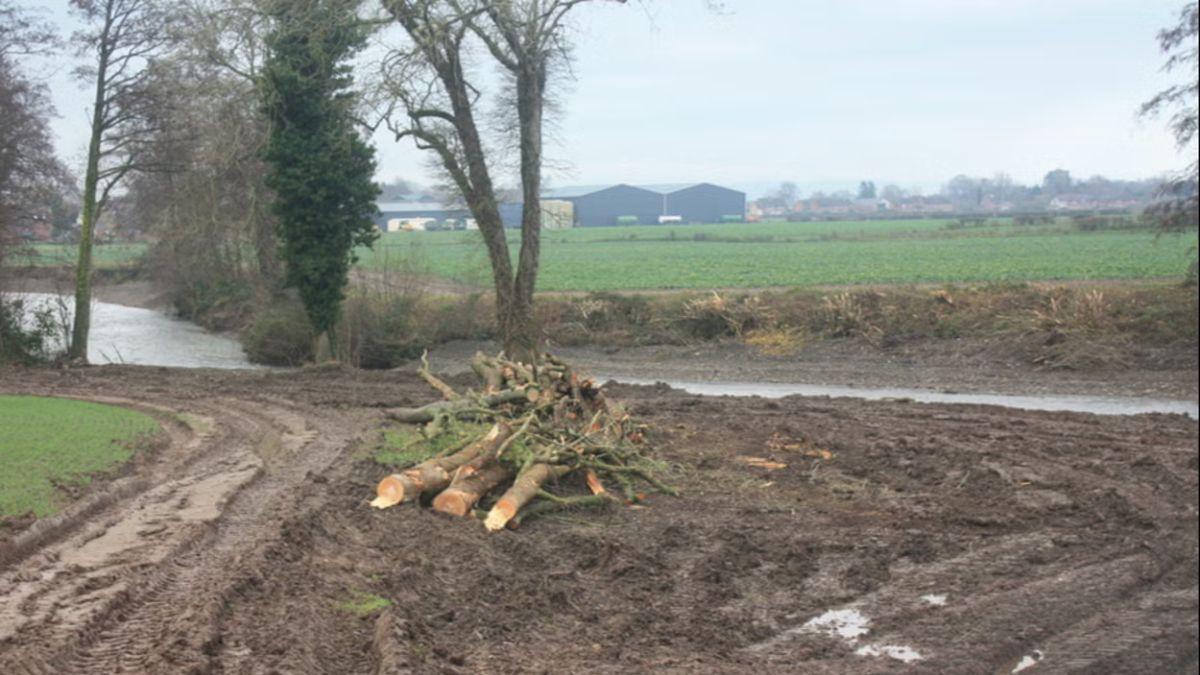 Un agricultor de 68 años arrasa 1,5 km de un río y tala 71 árboles: acaba en la cárcel por “vandalismo ecológico”