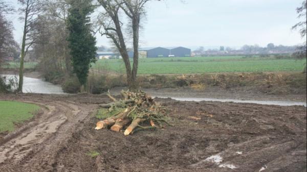 Un agricultor de 68 años arrasa 1,5 km de un río y tala 71 árboles: acaba en la cárcel por “vandalismo ecológico”