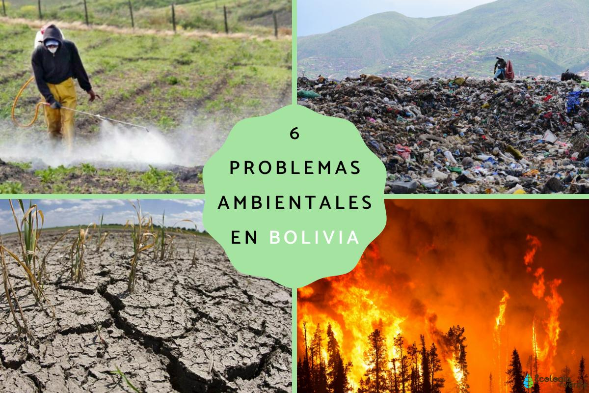 Problemas ambientales en Bolivia