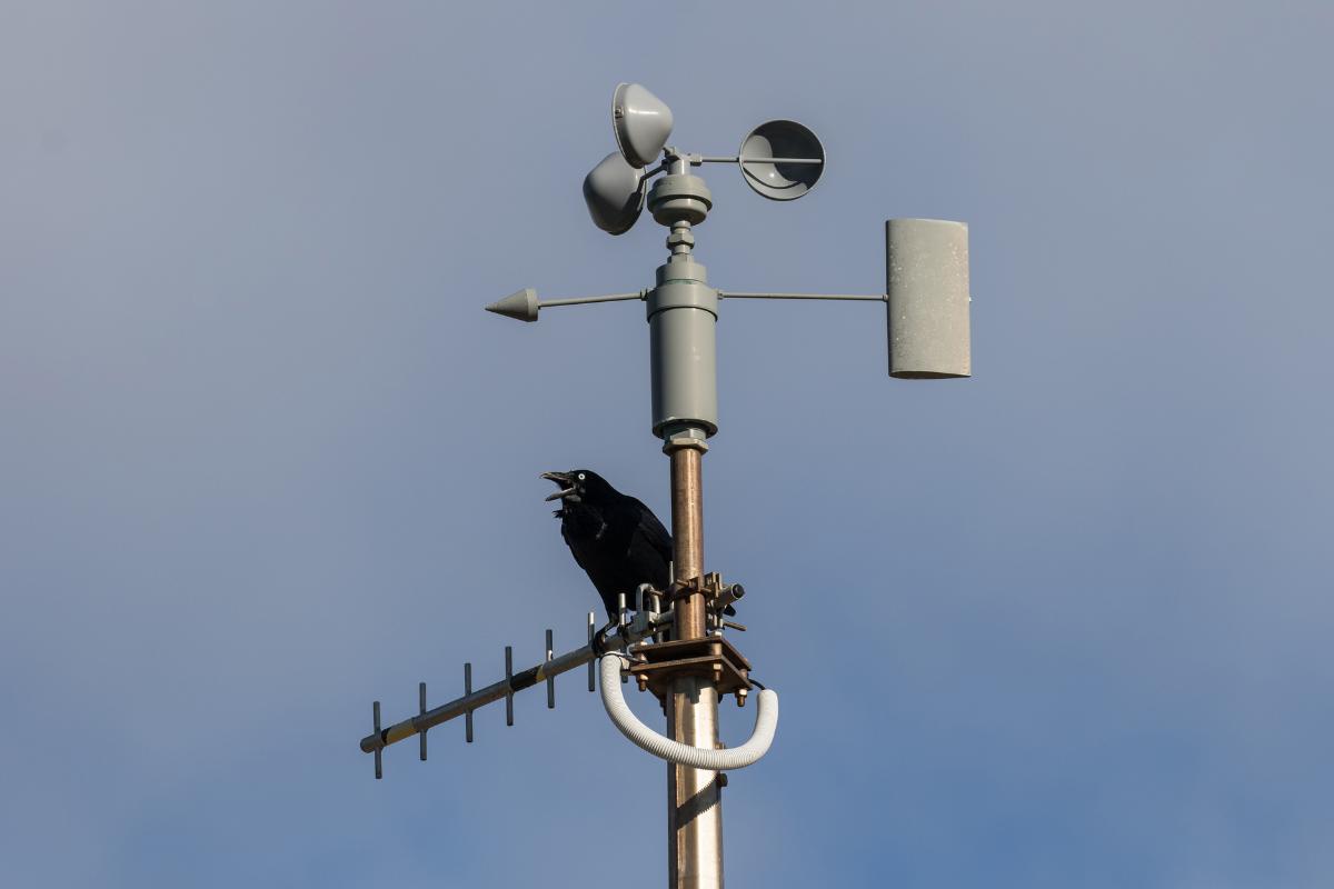 Anemómetro: qué es, para qué sirve y cómo funciona