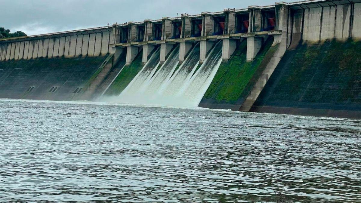 Las lluvias disparan los embalses: cómo aprovechar el exceso de agua para evitar la próxima sequía