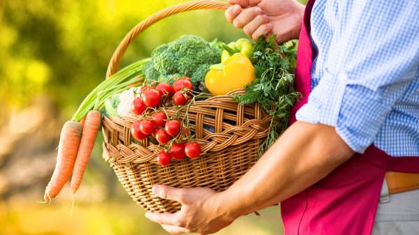 Qué plantar en julio en el huerto en España: calendario, cultivos y tareas para una buena cosecha - Calendario de siembra en julio: qué plantar cada semana