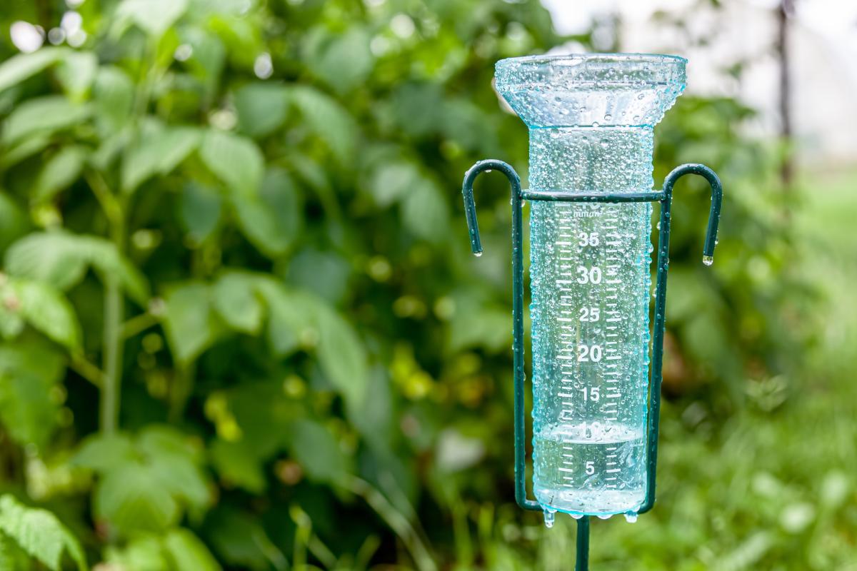 Pluviómetro: qué es, para qué sirve, tipos y cómo funciona