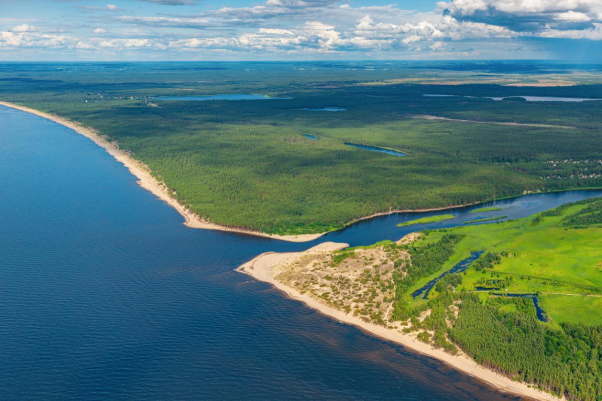 Desembocadura: qué es, tipos, cómo se forma y ejemplos