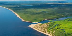 Desembocadura: qué es, tipos, cómo se forma y ejemplos