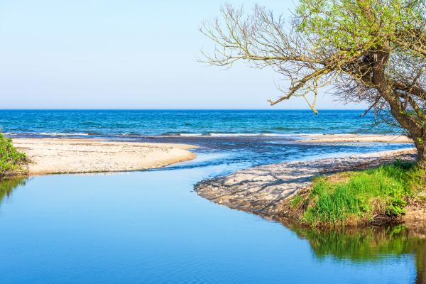 Desembocadura: qué es, tipos, cómo se forma y ejemplos - Qué es una desembocadura de un río