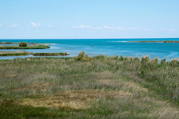 Desembocadura: qué es, tipos, cómo se forma y ejemplos - Tipos de desembocaduras de ríos