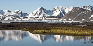 Tundra: características, clima, tipos, flora y fauna