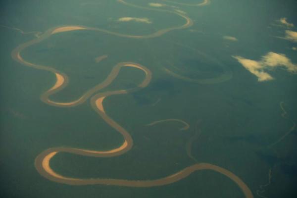 Río Amazonas - Flora y fauna del río Amazonas