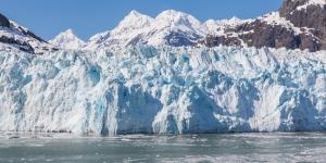 Clima polar: qué es, características, flora y fauna