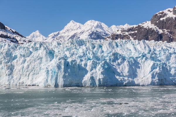 Clima polar: qué es, características, flora y fauna