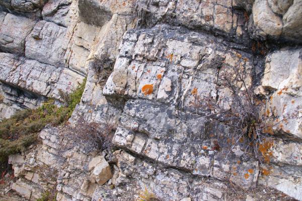 Metamorfismo: qué es y tipos - Qué es el metamorfismo