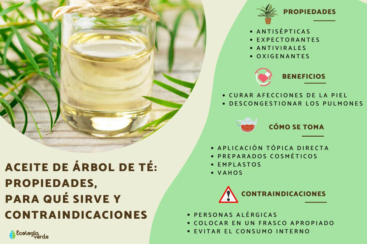 Aceite de árbol de té: propiedades, para qué sirve y contraindicaciones