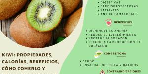Kiwi: propiedades, calorías, beneficios, cómo comerlo y contraindicaciones