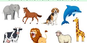 Animales vivíparos: qué son, características y ejemplos