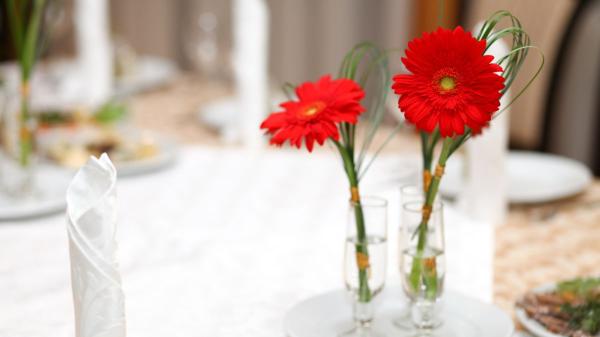 Las flores más originales para regalar en Sant Jordi (y salir de la típica rosa) - Gerbera roja: símbolo de fidelidad