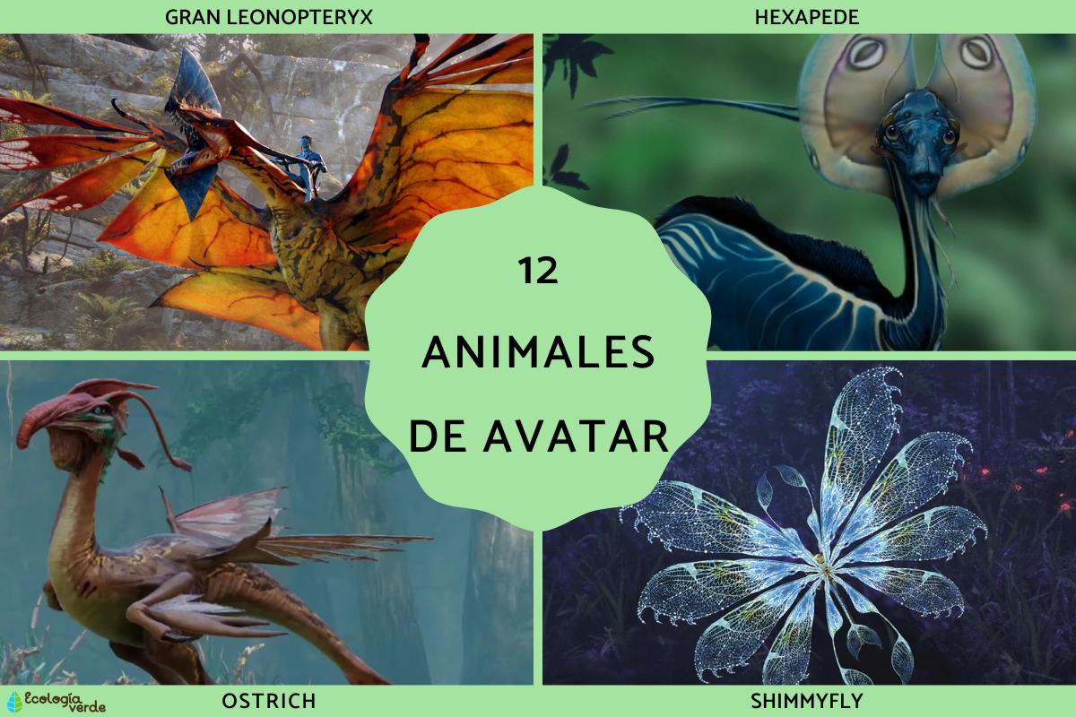 Animales de Avatar