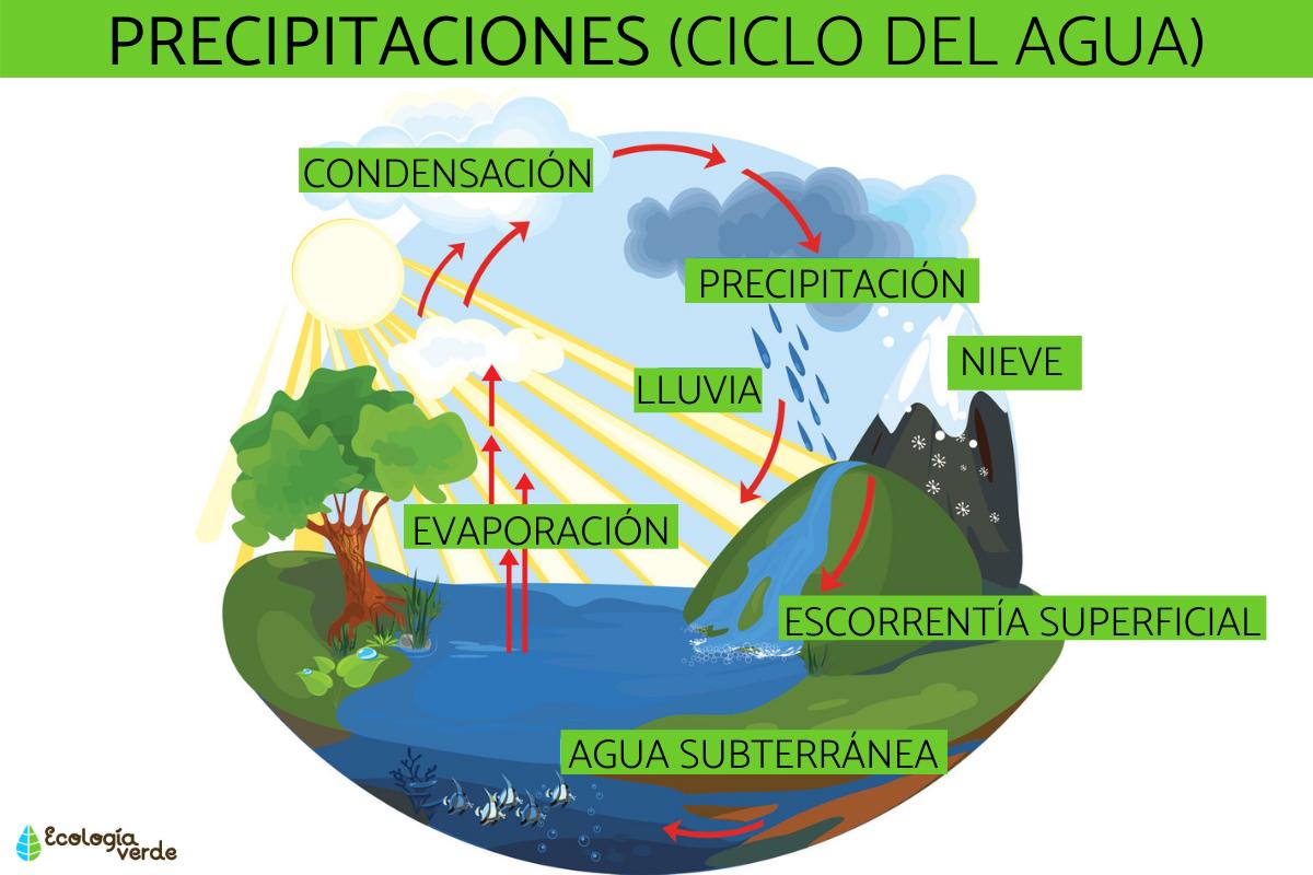 Tipos de precipitaciones