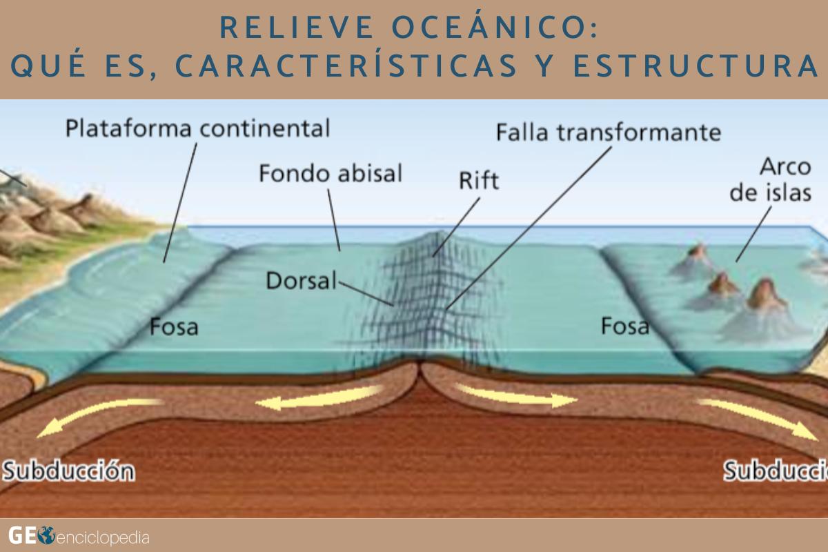 Relieve oceánico: qué es, características y estructura