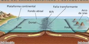Relieve oceánico: qué es, características y estructura