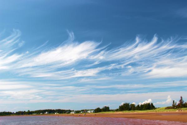 Cirros: qué son, cómo se forman, tipos y significado