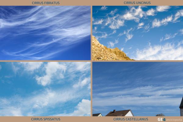 Cirros: qué son, cómo se forman, tipos y significado - Tipos de cirros